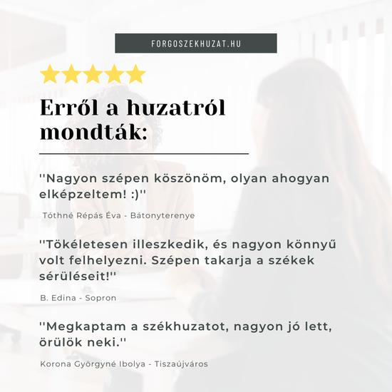 SzékHuzat JYSK HAVNDAL étkezőszékre (fehér)